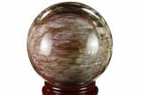 Colorful Petrified Wood Sphere - Madagascar #133867-1